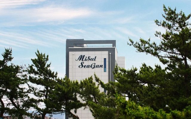 Misul Seagan Pension