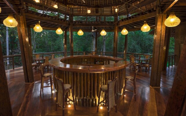 Treehouse Lodge