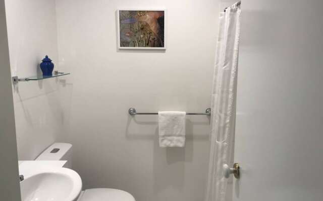 Beautiful Studio in Great Leafy Location