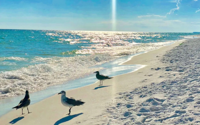 Silver Dunes Condominium