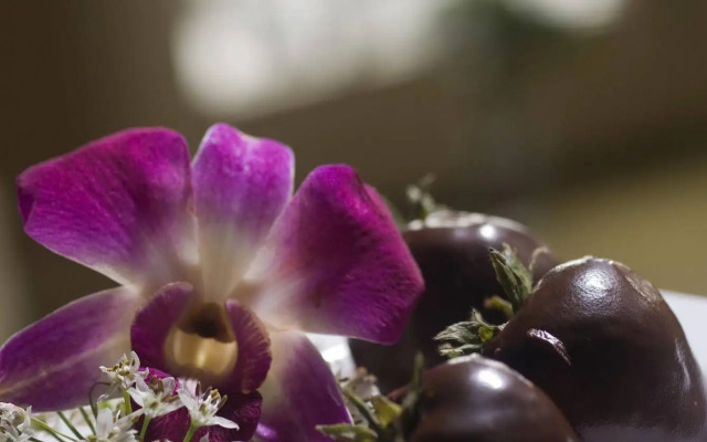 Union Bluff Hotel & Meeting House