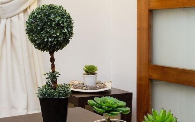 Plaza Suites Apartments