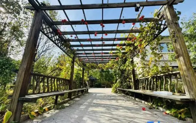 Yabuli Tingxue Xiaozhu Skiing Wenquan Villa