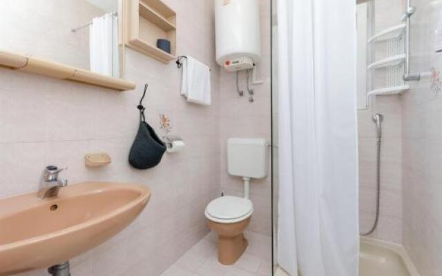 Apartment Branka