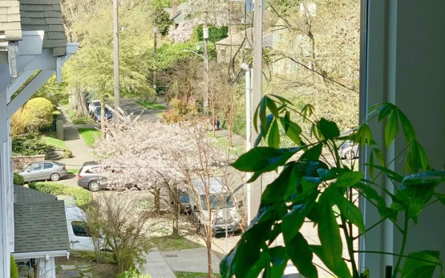 Lofty Studio Prime Cap Hill