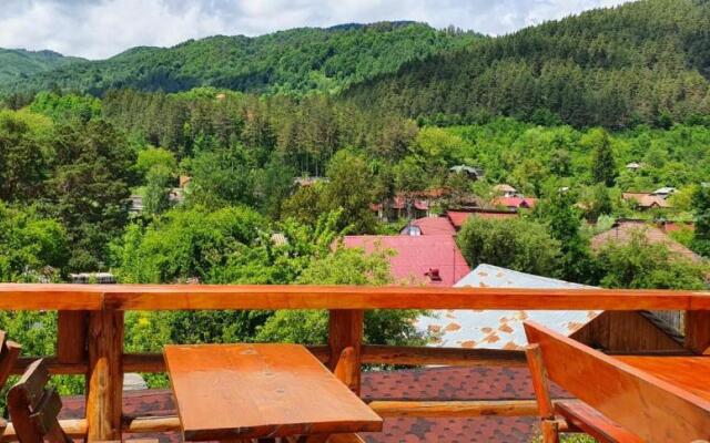 Casa de Vacanta Neagu