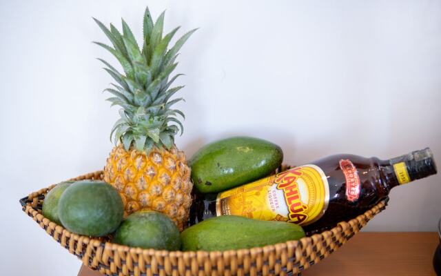 Ideal Villa and Hostel