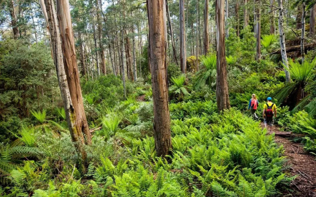 Walhalla's Star Hotel