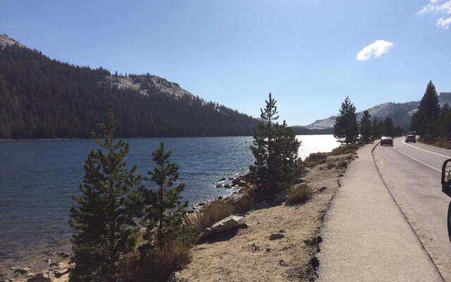 Inside Yosemite Mountain Beauty