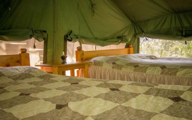 Bushara Island Camp