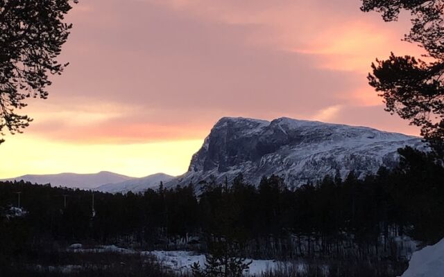 Stora Sjöfallet Mountain Center