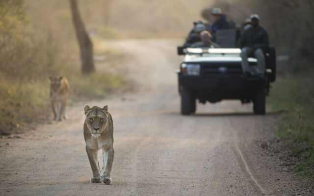 Kapama River Lodge