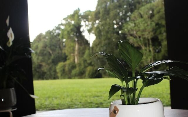 Tailwaggers Rainforest Retreat