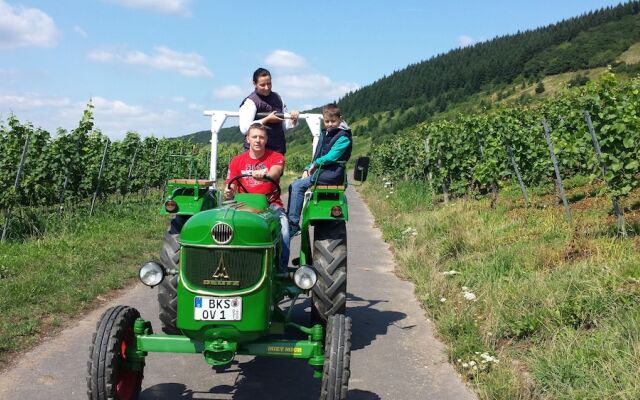 Ferienweingut Rainer Hirschen