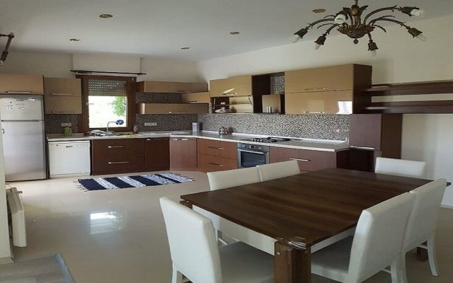 CE004 by Villaofsummer