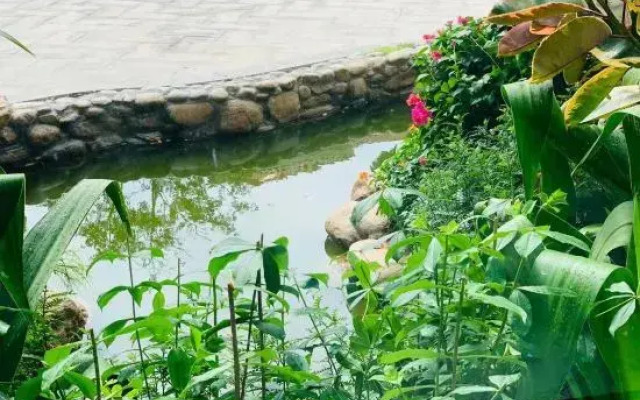 White Dolphins Villa