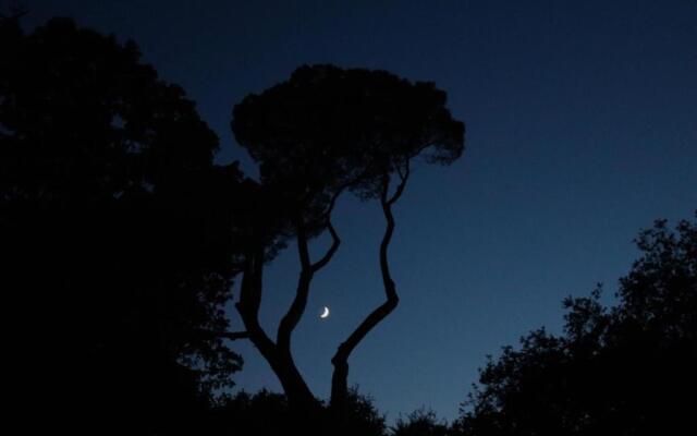 Maison D'hôtes Sainte-Marie