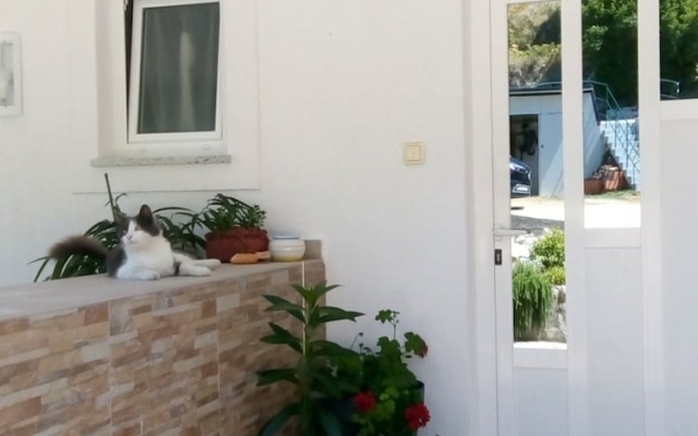 Apartments Suzy
