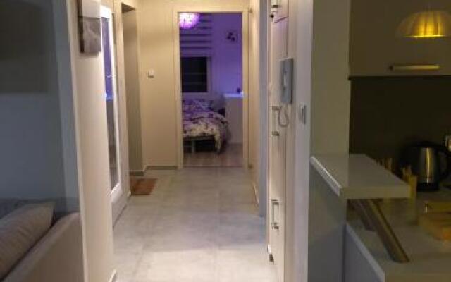 Bajkowa Plaża - Muszelka