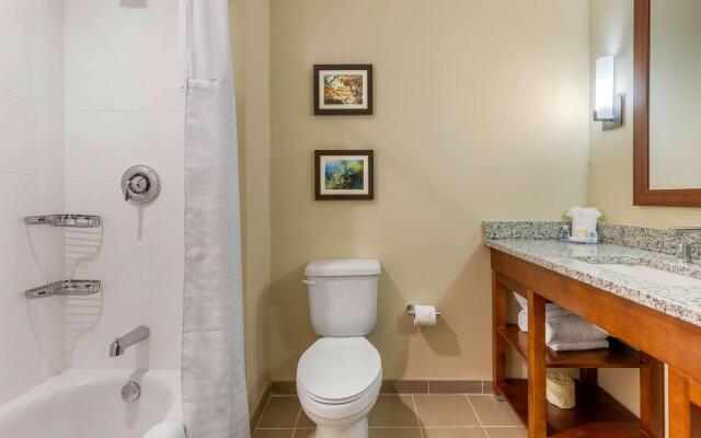 Comfort Inn & Suites