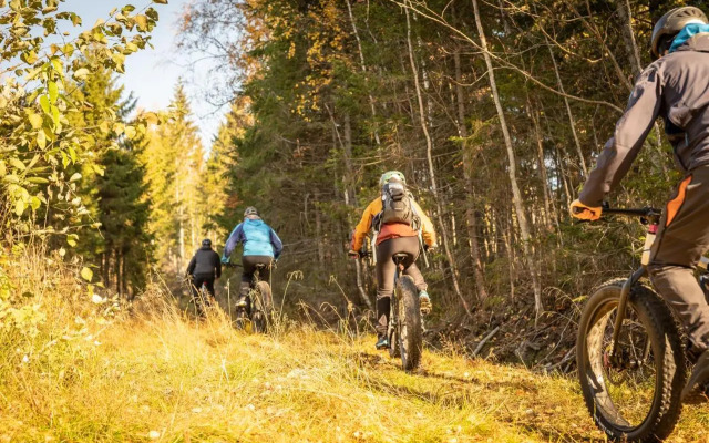 Koli Freetime Cottages