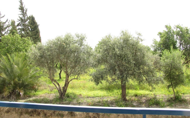 Majestic Webooking Apartments 101