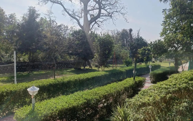 Rhea Safari Lodge