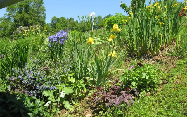 Le Balcon Commingeois
