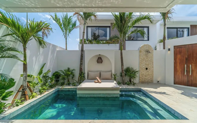 Nova Oasis 4