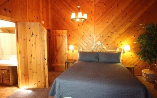 Scenic Wonders Tioga Logs 3 Bedrooms