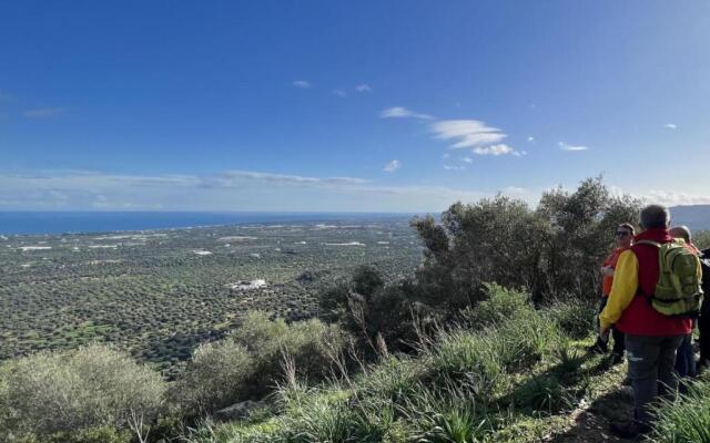 TERRA TERRA - Masseria Minunni
