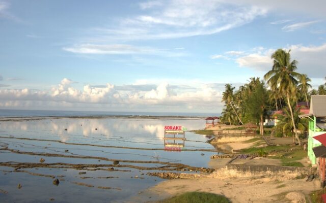 Oseda Nias Surf House