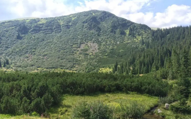 Villa PidStromom