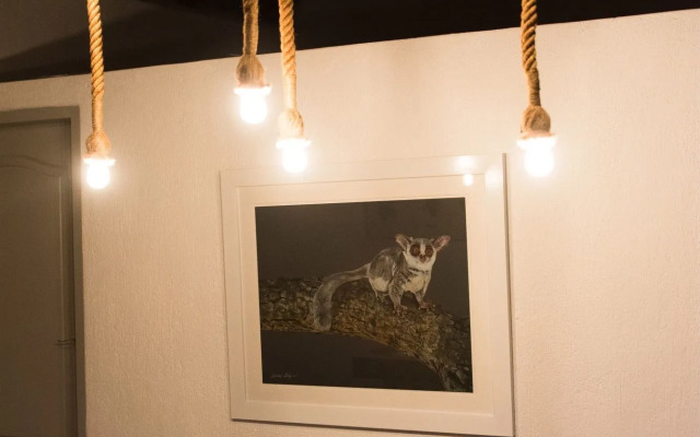 Bushbaby River Lodge