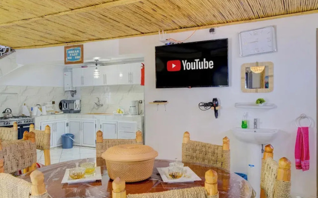 Dinosaur anza surf house