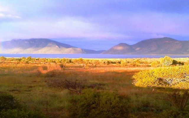 Africamps at White Elephant Safaris