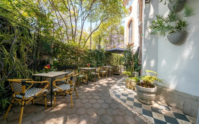 Orchid House Mexico City