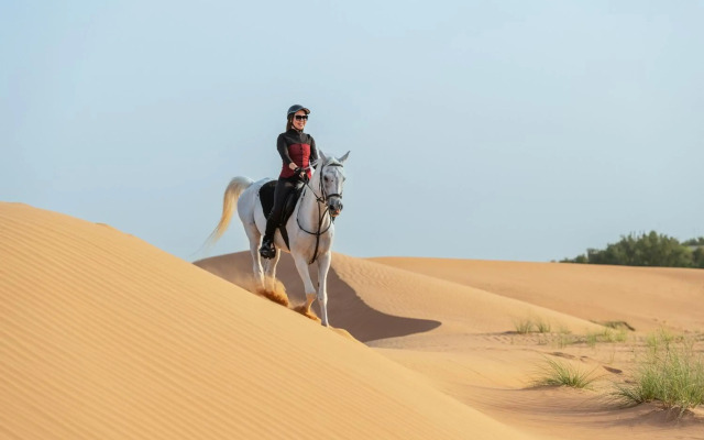 Al Maha, A Luxury Collection Desert Resort & Spa, Dubai
