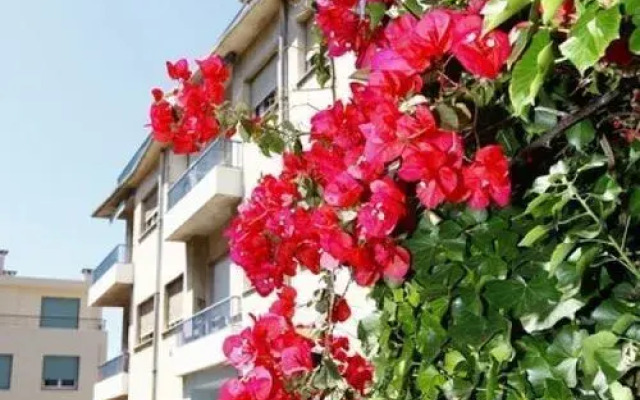 Apartment Bougainvillier