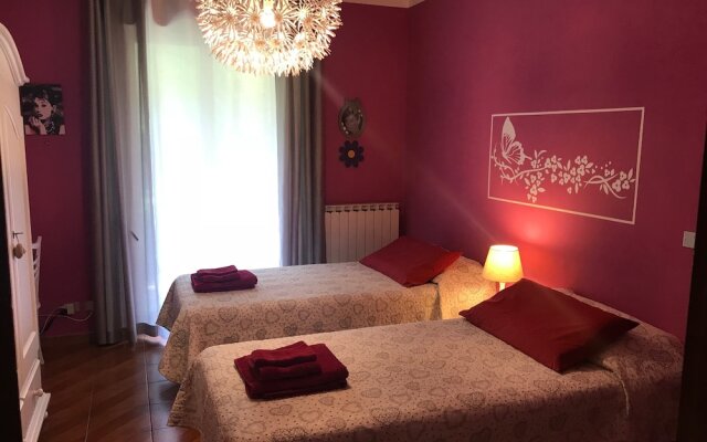 B&B L'Albero Maestro