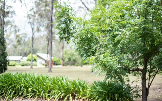 The Woods At Pokolbin