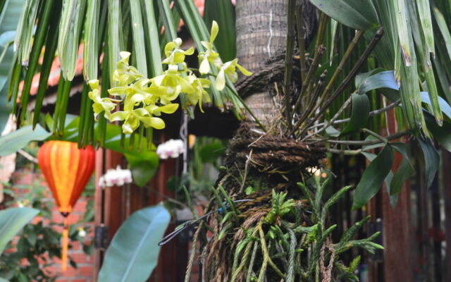 Orchid Garden Homestay