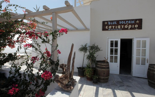 Paros Blue Dolphin