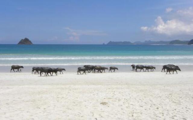 Pantai South Lombok Vilas