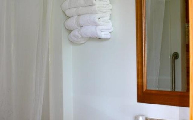 Denali Grizzly Bear Resort