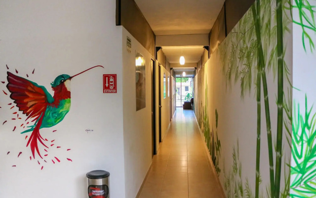Hostal Gayser - Hostel