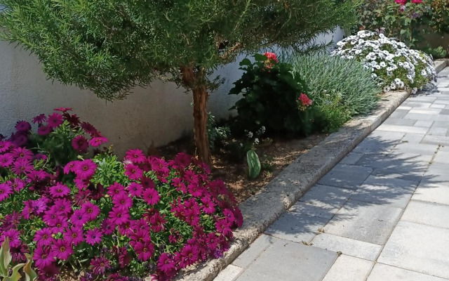 Tonina - house with patio, jacuzzi, free parking