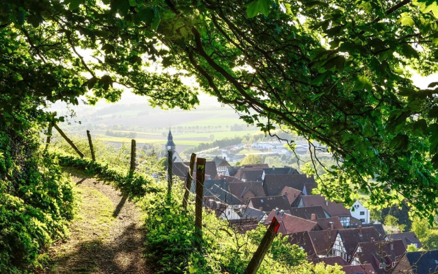 Phileas Schieder-schwalenberg