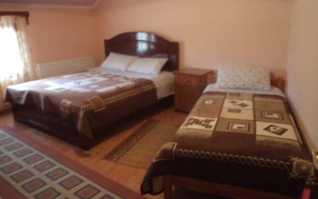 Pashuta Hotel