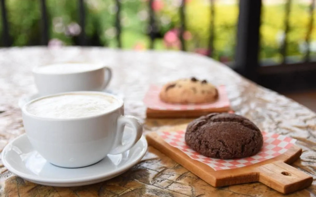 Hotel Casa Chapultepec - Hostel